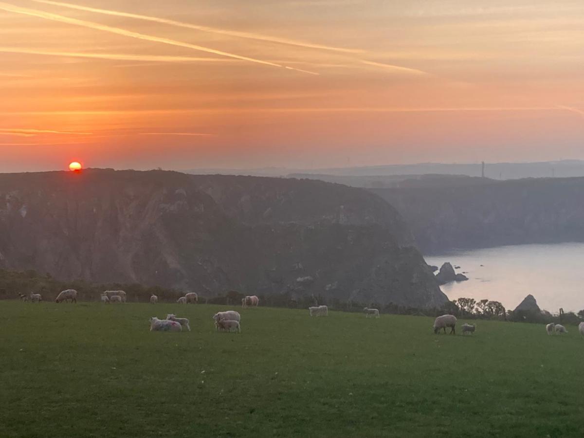 Готель Coast Path Camping Гейверфордвест Екстер'єр фото